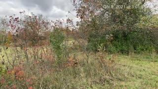 Parc Lagalaga - a glance before its development