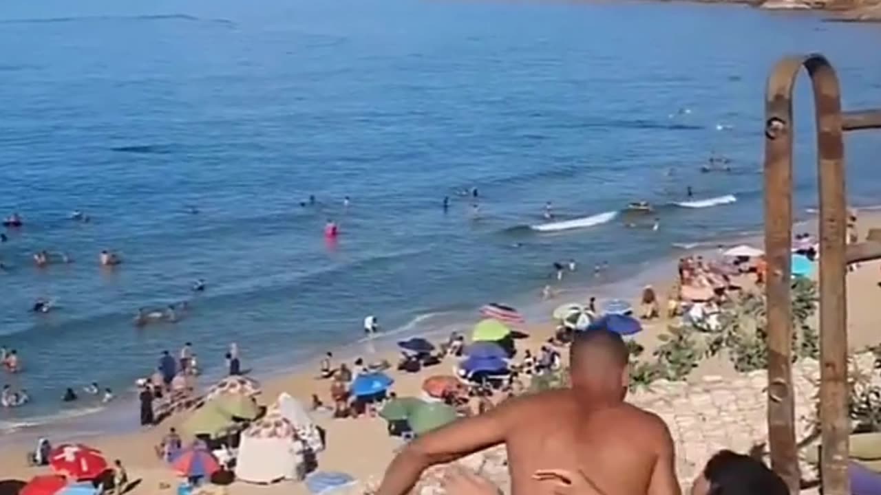 FINISHTO #THE END 😂😂😂 #viral #videos #funny #fails #funny videos #panda4fun1