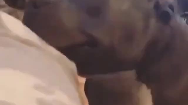 🥰🥰