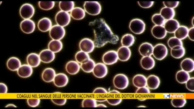 LA SCIENZA, QUELLA VERA.