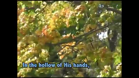 In The Hollow Of his Hands