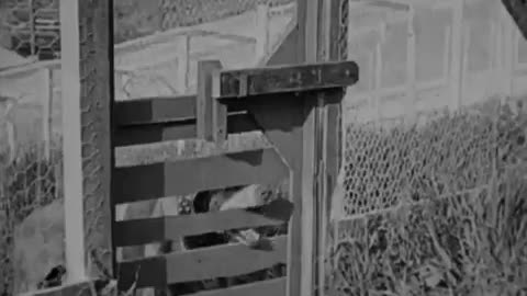 Down on the Farm (1920) - Full movie