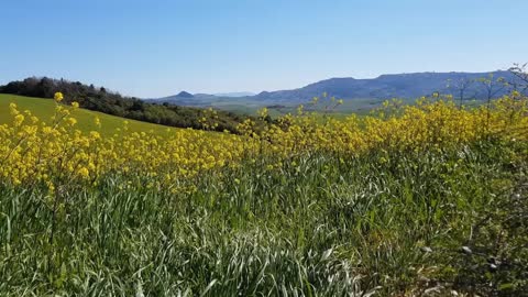 TRAVEL IN THE MIDDLE OF NATURE AND RELAX