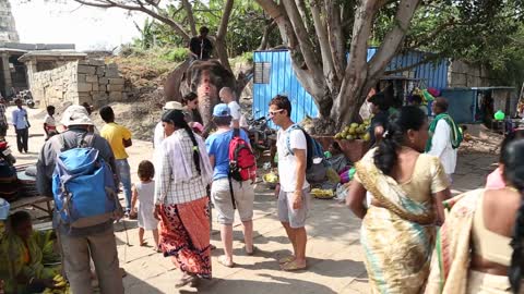 Tourists in front of temple elephant Lakshmi