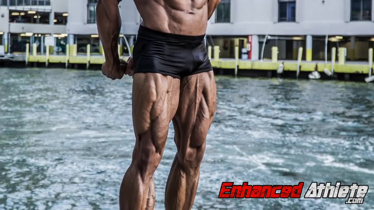 Pre Contest Steroid Cycle (Entertainment Purposes Only)