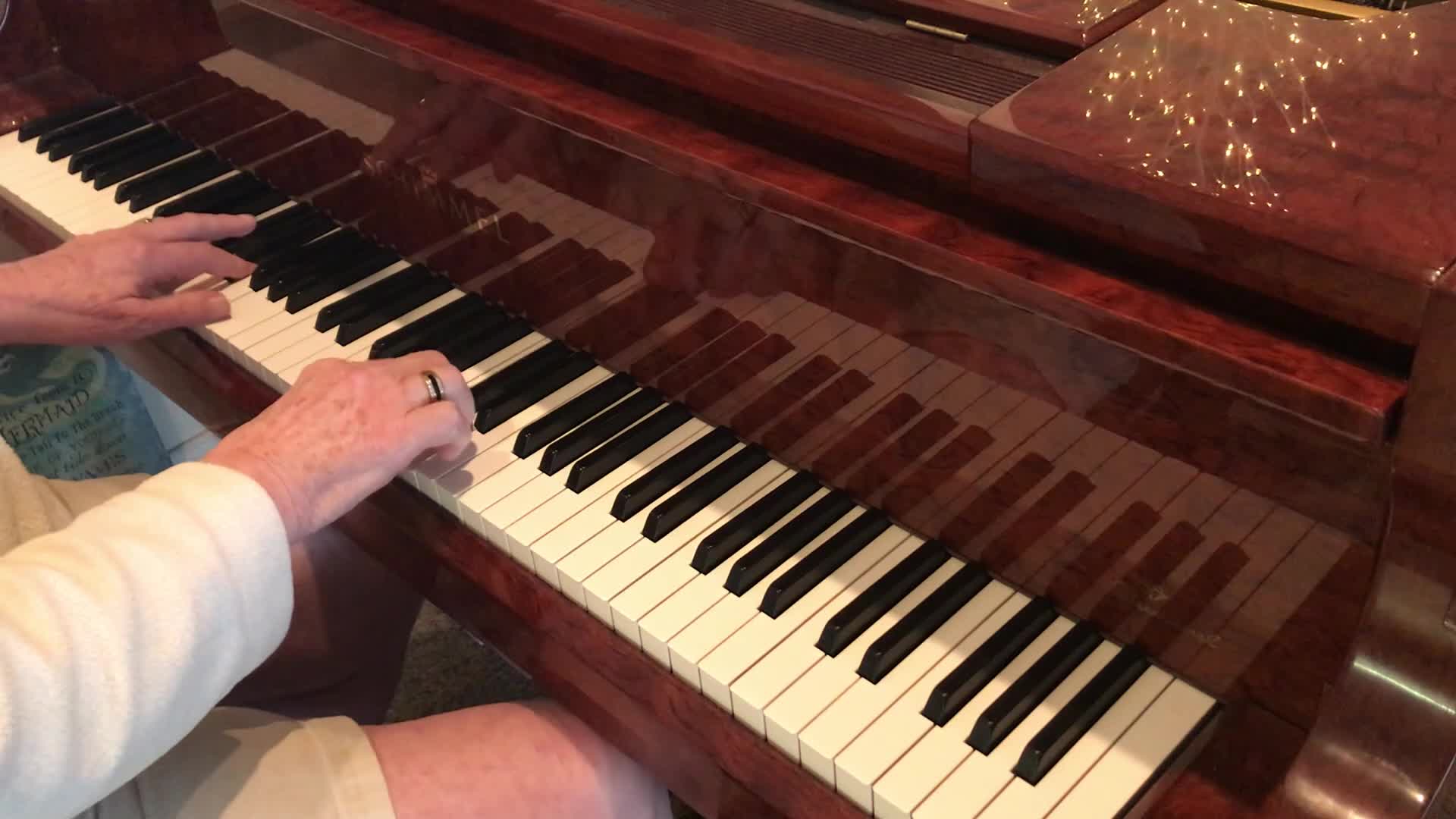 J. Norman Stewart plays They Cant Take That Away From Me