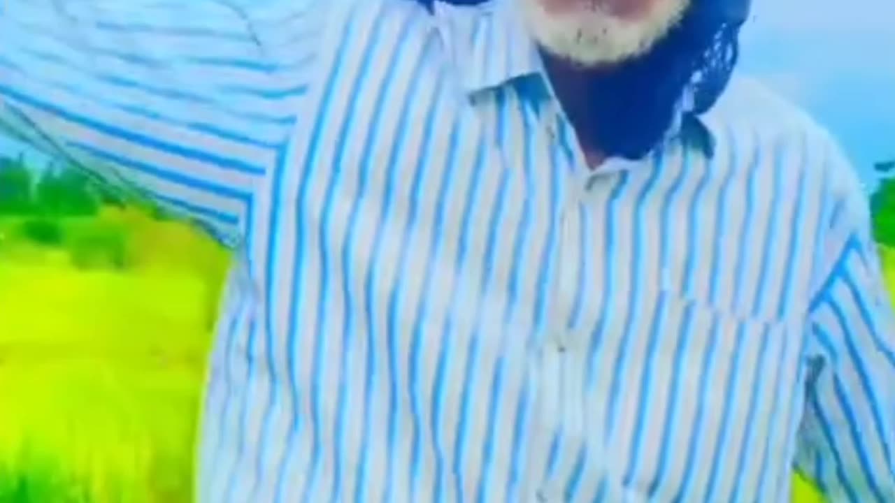 Funny video, viral video, memes video,