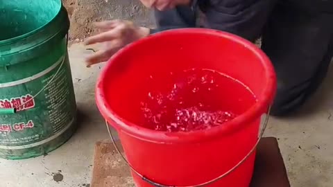comedy video funny fails funny video 2024