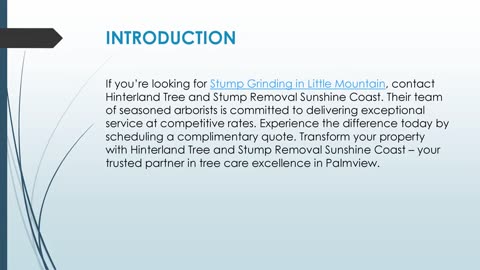 Best Stump Grinding in Little Mountain