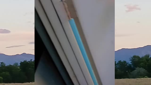 Victory garden update