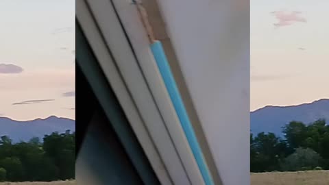 Victory garden update