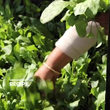 "Savory Delights: The Ultimate Recipe for Succulent Spinach Eggs"