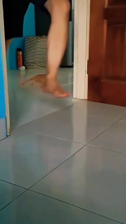 6.so smooth cat video best for ever