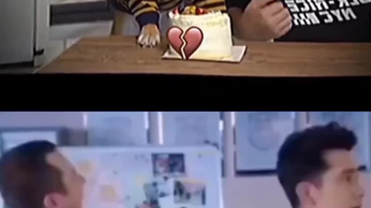 Funny videos