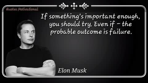 Elon Musk quotes