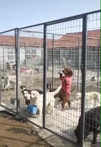 ΚΑΠΩΣ ΕΤΣΙ ΞΕΚΙΝΑΝΕ ΟΙ ΕΠΑΝΑΣΤΑΣΕΙΣ ΓΙΑ ΕΛΕΥΘΕΡΙΑ