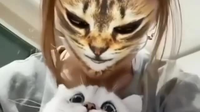 Mahda, a strange creature, cat, was surprised