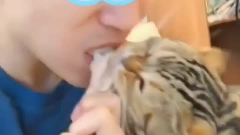 Eat everything-Cute and Funny Cat Videos