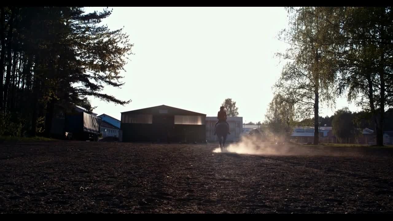 Beautiful girl riding a horse against sun