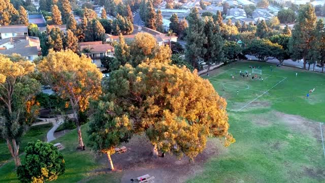 Park Colorado Camping Drone-16