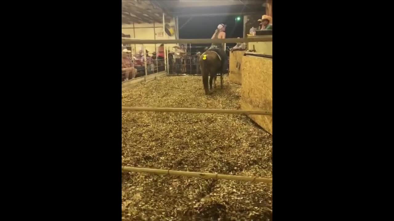 Old Man at the sale barn