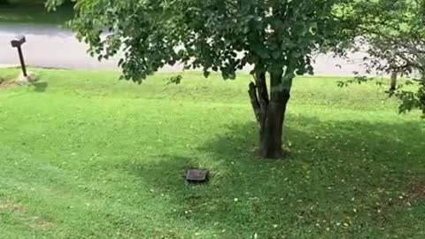 Funny Videos Compilation || Best of The Month