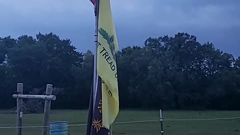 Pledge 9-7-21