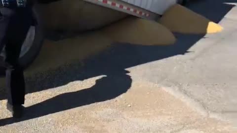 Semi Buckled and Dumped Grain Everywhere