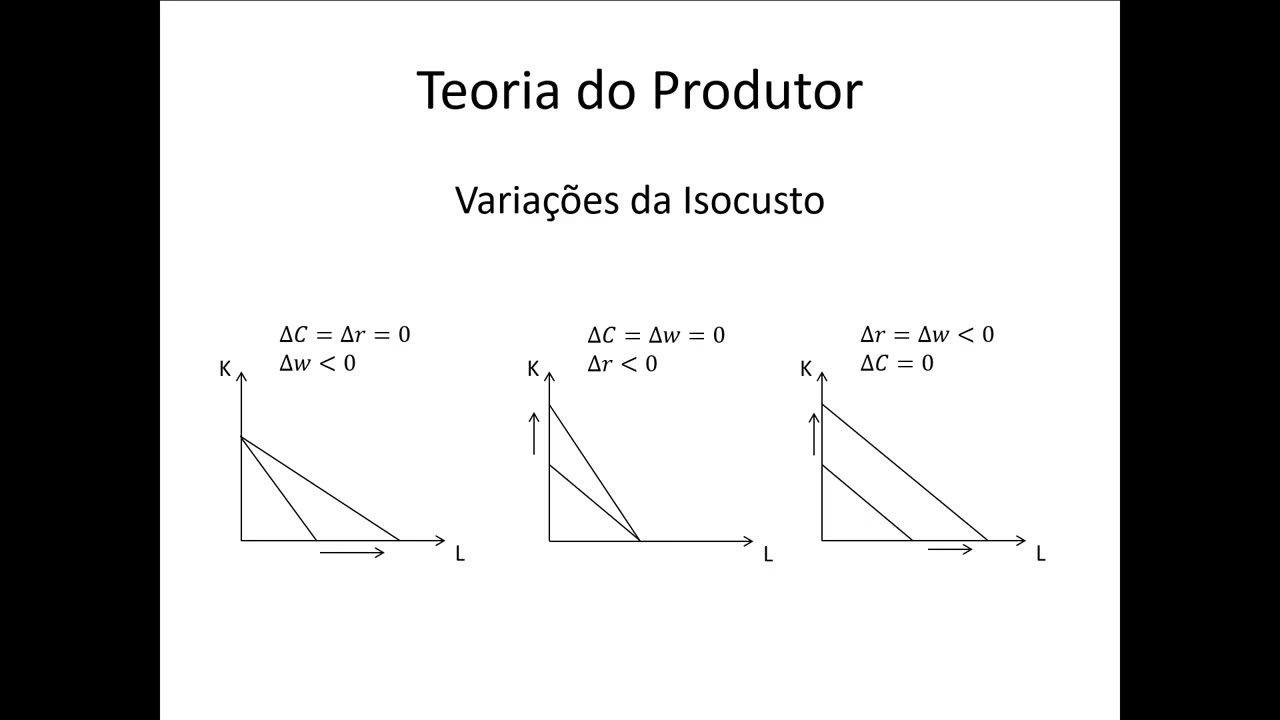 Microeconomia 113 Teoria do Produtor Isocusto e Intervenão Estatal