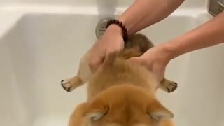 But Mom I don't want a bath