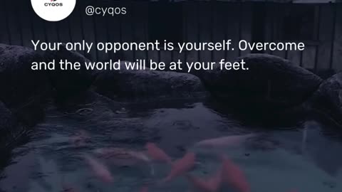 Your only opponent is yourself. Overcome and the world will be at your feet.