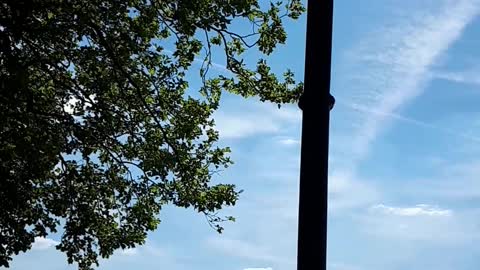 Himmel in Berlin am 11.08.2022 um 13:50 Uhr