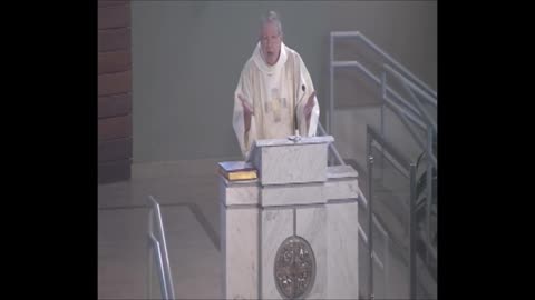 Homily: Solemnity of Mary - Year ABC (1/2020)