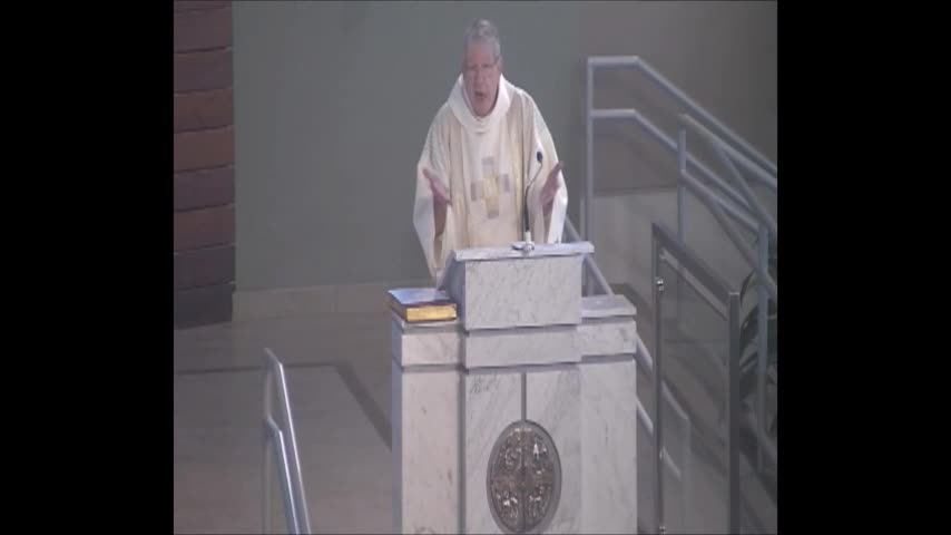 Homily: Solemnity of Mary - Year ABC (1/2020)