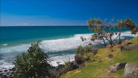Ocean and Seagull Sounds for Relaxation and Calmness