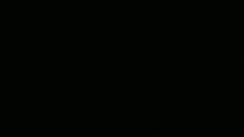 Modern Goal Calls of the Wild with Anthony Lapamta