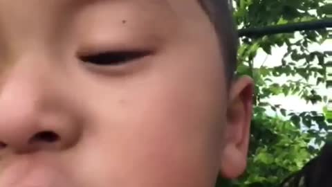 Funny videos