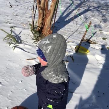 Toddlers reason for eating gloves is Epic