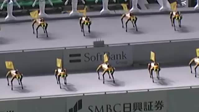 Japanese baseball team Fukuoka Soft Bank Hawks Robot fans