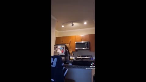 A compilation of an orange cat doing crazy things!