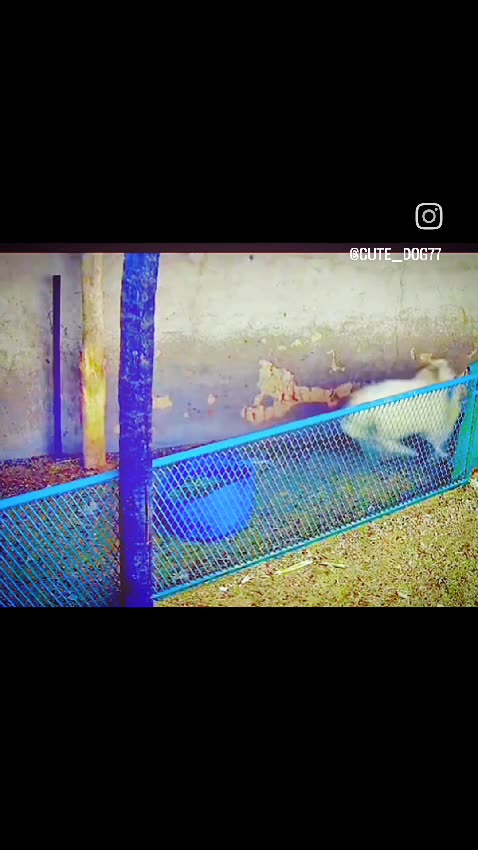 ⚠️Warning:This video contains violent scenes and is not suitable for viewers under 18. When even the