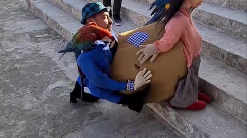 Creative Costumed Performer with Parrots