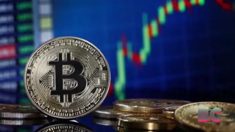 Bitcoin’s Rally Stalls After Nearing the Historic $100,000 Level