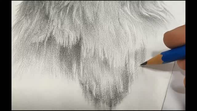 Drowing dog