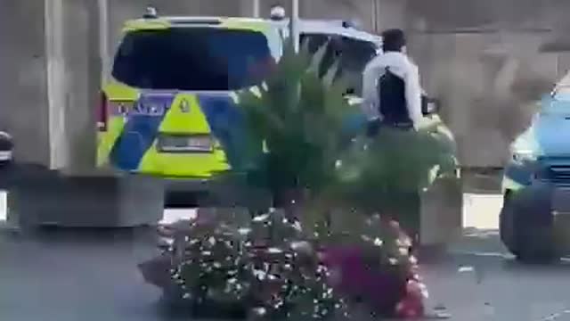 Einmann demoliert Polizeiautos