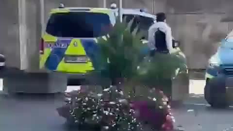 Einmann demoliert Polizeiautos