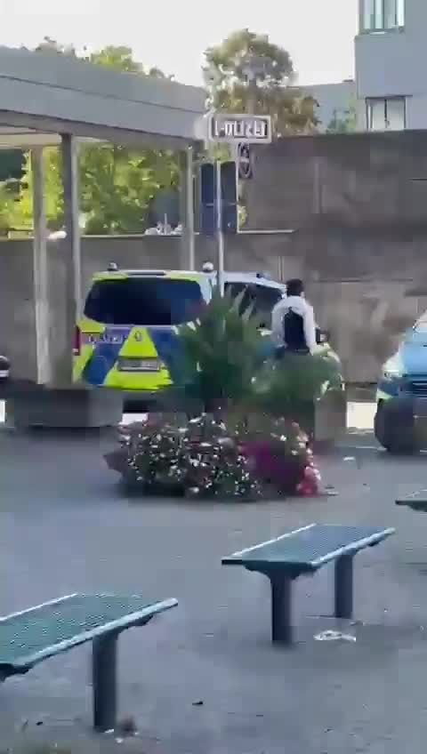 Einmann demoliert Polizeiautos