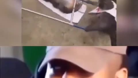 Shot on IPhone Meme #9