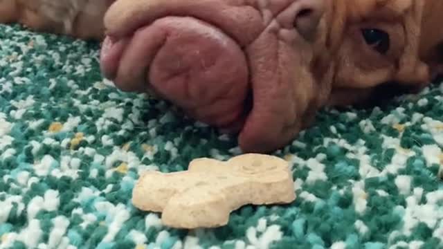 Snack timec