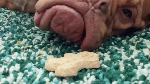 Snack timec